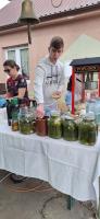IMG-20250601-WA0053